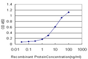 PNLIPRP2 Antibody - Detection limit for recombinant GST tagged PNLIPRP2 is approximately 0.3 ng/ml as a capture antibody.