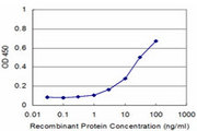 PNMA2 / MA2 Antibody - Detection limit for recombinant GST tagged PNMA2 is approximately 1 ng/ml as a capture antibody.