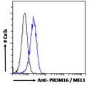 PRDM16 Antibody - PRDM16 / MEL1 antibody flow cytometric analysis of paraformaldehyde fixed HEK293 cells (blue line), permeabilized with 0.5% Triton. Primary incubation 1hr (10ug/ml) followed by Alexa Fluor 488 secondary antibody (1ug/ml). IgG control: Unimmunized goat IgG (black line) followed by Alexa Fluor 488 secondary antibody.