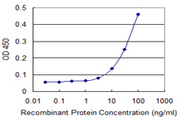 PRM1 / Protamine 1 Antibody - Detection limit for recombinant GST tagged PRM1 is 3 ng/ml as a capture antibody.