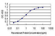 RSU1 Antibody - Detection limit for recombinant GST tagged RSU1 is approximately 0.03 ng/ml as a capture antibody.
