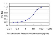 SCN3A / Nav1.3 Antibody - Detection limit for recombinant GST tagged SCN3A is approximately 0.3 ng/ml as a capture antibody.