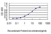 SH3BGRL Antibody - Detection limit for recombinant GST tagged SH3BGRL is approximately 0.1 ng/ml as a capture antibody.