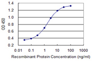 SI / Sucrase Isomaltase Antibody - Detection limit for recombinant GST tagged SI is 0.03 ng/ml as a capture antibody.