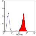 SLA Class I Antibody - Flow cytometry of porcine peripheral blood lymphocytes with Mouse anti-Porcine SLA 1:FITC This image was taken for the unconjugated form of this product. Other forms have not been tested.