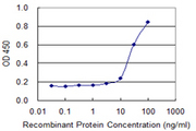 SPAG4 Antibody - Detection limit for recombinant GST tagged SPAG4 is 1 ng/ml as a capture antibody.