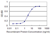 SRGN / Serglycin Antibody - Detection limit for recombinant GST tagged SRGN is 0.3 ng/ml as a capture antibody.