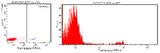 TCR Gamma + TCR Delta Antibody - Flow cytometric analysis of human lymphocytes showing T-Cell Receptor gammadelta positive population