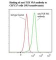 TCR Vbeta 3 Antibody - Flow cytometry of T Cell Receptor Cbeta 3 antibody
