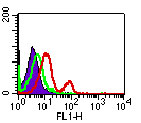 TLR5 Antibody - Intracellular flow cytometry of TLR5 in PBMCs using 0.5 ug/10^6 cells of Monoclonal Antibody to TLR5 (Toll-like receptor 5) FITC Conjugate. Shaded histogram represents cells without antibody; green represents isotype control; red represents anti-TLR5 antibody. This image was taken for the unconjugated form of this product. Other forms have not been tested.