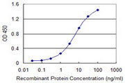 TNFRSF21 / DR6 Antibody - Detection limit for recombinant GST tagged TNFRSF21 is 0.1 ng/ml as a capture antibody.