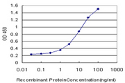TPBG / 5T4 Antibody - Detection limit for recombinant GST tagged TPBG is approximately 0.1 ng/ml as a capture antibody.