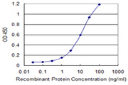 UQCRH Antibody - Detection limit for recombinant GST tagged UQCRH is 0.1 ng/ml as a capture antibody.
