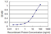 WFDC2 / HE4 Antibody - Detection limit for recombinant GST tagged WFDC2 is 0.3 ng/ml as a capture antibody.