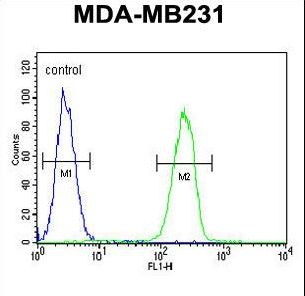 15-PGDH / HPGD Antibody - HPGD Antibody flow cytometry of MDA-MB231 cells (right histogram) compared to a negative control cell (left histogram). FITC-conjugated goat-anti-rabbit secondary antibodies were used for the analysis.