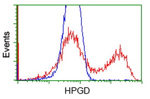 15-PGDH / HPGD Antibody - HEK293T cells transfected with either overexpress plasmid (Red) or empty vector control plasmid (Blue) were immunostained by anti-HPGD antibody, and then analyzed by flow cytometry.
