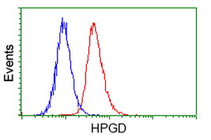 15-PGDH / HPGD Antibody - Flow cytometry of HeLa cells, using anti-HPGD antibody (Red), compared to a nonspecific negative control antibody (Blue).