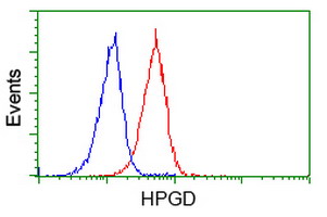 15-PGDH / HPGD Antibody - Flow cytometry of Jurkat cells, using anti-HPGD antibody (Red), compared to a nonspecific negative control antibody (Blue).