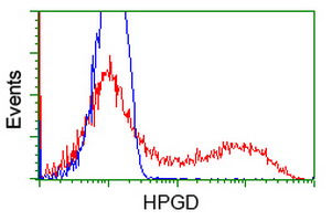 15-PGDH / HPGD Antibody - HEK293T cells transfected with either overexpress plasmid (Red) or empty vector control plasmid (Blue) were immunostained by anti-HPGD antibody, and then analyzed by flow cytometry.