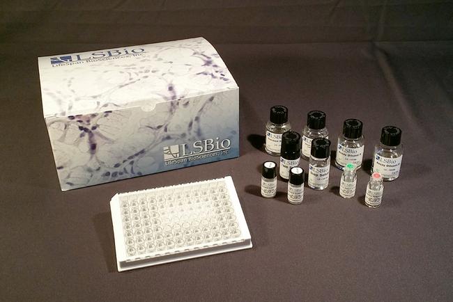 6-Keto-Prostaglandin F1A ELISA Kit