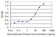 A1BG Antibody - Detection limit for recombinant GST tagged A1BG is 1 ng/ml as a capture antibody.