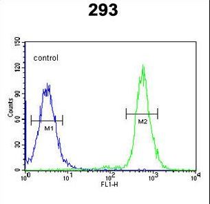 A2ML1 Antibody - A2ML1 Antibody flow cytometry of 293 cells (right histogram) compared to a negative control cell (left histogram). FITC-conjugated goat-anti-rabbit secondary antibodies were used for the analysis.