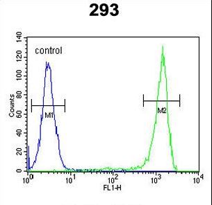 AAGAB Antibody - FLJ11506 Antibody flow cytometry of 293 cells (right histogram) compared to a negative control cell (left histogram). FITC-conjugated goat-anti-rabbit secondary antibodies were used for the analysis.