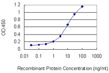 AAMP Antibody - Detection limit for recombinant GST tagged AAMP is 0.3 ng/ml as a capture antibody.