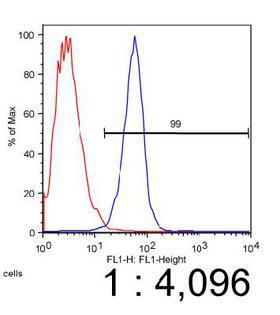 ABCA1 Antibody - FACS analysis of Raw (red) and Raw-cAMP (blue) cells using ABCA1, mouse antibody at a dilution of 1:4000.