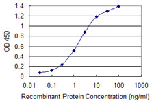 ABCB1 / MDR1 / P Glycoprotein Antibody - Detection limit for recombinant GST tagged ABCB1 is 0.03 ng/ml as a capture antibody.