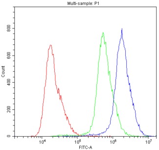 ABCB11 / BSEP Antibody - Flow Cytometry analysis of A431 cells using anti-ABCB11 antibody. Overlay histogram showing A431 cells stained with anti-ABCB11 antibody (Blue line). The cells were blocked with 10% normal goat serum. And then incubated with rabbit anti-ABCB11 Antibody (1µg/10E6 cells) for 30 min at 20°C. DyLight®488 conjugated goat anti-rabbit IgG (5-10µg/10E6 cells) was used as secondary antibody for 30 minutes at 20°C. Isotype control antibody (Green line) was rabbit IgG (1µg/10E6 cells) used under the same conditions. Unlabelled sample (Red line) was also used as a control.