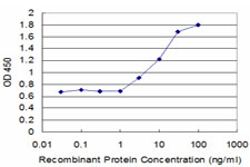 ABCB2 / TAP1 Antibody - Detection limit for recombinant GST tagged TAP1 is approximately 3 ng/ml as a capture antibody.