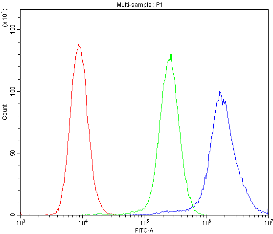 ABCB4 / MDR3 Antibody - Flow Cytometry analysis of A375 cells using anti-MDR3 antibody. Overlay histogram showing A375 cells stained with anti-MDR3 antibody (Blue line). The cells were blocked with 10% normal goat serum. And then incubated with rabbit anti-MDR3 Antibody (1µg/10E6 cells) for 30 min at 20°C. DyLight®488 conjugated goat anti-rabbit IgG (5-10µg/10E6 cells) was used as secondary antibody for 30 minutes at 20°C. Isotype control antibody (Green line) was rabbit IgG (1µg/10E6 cells) used under the same conditions. Unlabelled sample (Red line) was also used as a control.