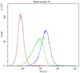 ABCB4 / MDR3 Antibody - Flow Cytometry analysis of A549 cells using anti-MDR3 antibody. Overlay histogram showing A549 cells stained with anti-MDR3 antibody (Blue line). The cells were blocked with 10% normal goat serum. And then incubated with rabbit anti-MDR3 Antibody (1µg/10E6 cells) for 30 min at 20°C. DyLight®488 conjugated goat anti-rabbit IgG (5-10µg/10E6 cells) was used as secondary antibody for 30 minutes at 20°C. Isotype control antibody (Green line) was rabbit IgG (1µg/10E6 cells) used under the same conditions. Unlabelled sample (Red line) was also used as a control.
