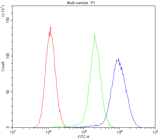 ABCB4 / MDR3 Antibody - Flow Cytometry analysis of Hela cells using anti-MDR3 antibody. Overlay histogram showing Hela cells stained with anti-MDR3 antibody (Blue line). The cells were blocked with 10% normal goat serum. And then incubated with rabbit anti-MDR3 Antibody (1µg/10E6 cells) for 30 min at 20°C. DyLight®488 conjugated goat anti-rabbit IgG (5-10µg/10E6 cells) was used as secondary antibody for 30 minutes at 20°C. Isotype control antibody (Green line) was rabbit IgG (1µg/10E6 cells) used under the same conditions. Unlabelled sample (Red line) was also used as a control.