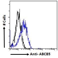 ABCB5 Antibody - ABCB5 antibody flow cytometric analysis of paraformaldehyde fixed HepG2 cells (blue line), permeabilized with 0.5% Triton. Primary incubation 1hr (10ug/ml) followed by Alexa Fluor 488 secondary antibody (1ug/ml). IgG control: Unimmunized goat IgG (black line) followed by Alexa Fluor 488 secondary antibody.