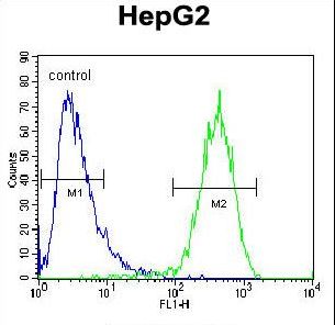 ABCC10 Antibody - ABCC10 Antibody flow cytometry of HepG2 cells (right histogram) compared to a negative control cell (left histogram). FITC-conjugated goat-anti-rabbit secondary antibodies were used for the analysis.