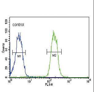 ABCC3 / MRP3 Antibody - ABCC3 Antibody flow cytometry of MDA-MB435 cells (right histogram) compared to a negative control cell (left histogram). FITC-conjugated goat-anti-rabbit secondary antibodies were used for the analysis.