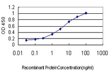 ABCC6 / MRP6 Antibody - Detection limit for recombinant GST tagged ABCC6 is approximately 0.03 ng/ml as a capture antibody.