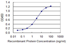 ABCC8 / SUR1 Antibody - Detection limit for recombinant GST tagged ABCC8 is 0.03 ng/ml as a capture antibody.