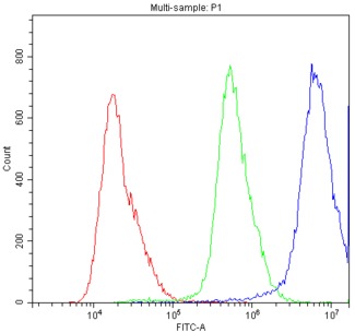 ABCC8 / SUR1 Antibody - Flow Cytometry analysis of A431 cells using anti-ABCC8 antibody. Overlay histogram showing A431 cells stained with anti-ABCC8 antibody (Blue line). The cells were blocked with 10% normal goat serum. And then incubated with rabbit anti-ABCC8 Antibody (1µg/10E6 cells) for 30 min at 20°C. DyLight®488 conjugated goat anti-rabbit IgG (5-10µg/10E6 cells) was used as secondary antibody for 30 minutes at 20°C. Isotype control antibody (Green line) was rabbit IgG (1µg/10E6 cells) used under the same conditions. Unlabelled sample (Red line) was also used as a control.