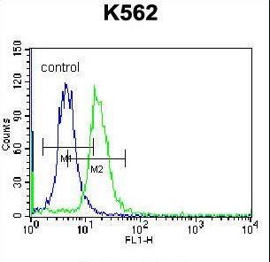 ABCD2 / ALDR Antibody - ABCD2 Antibody flow cytometry of K562 cells (right histogram) compared to a negative control cell (left histogram). FITC-conjugated donkey-anti-rabbit secondary antibodies were used for the analysis.