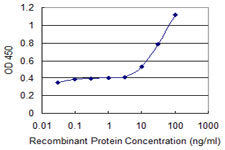 ABCF1 Antibody - Detection limit for recombinant GST tagged ABCF1 is 3 ng/ml as a capture antibody.