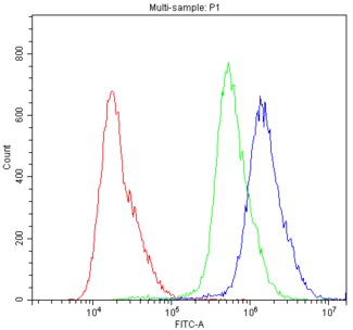 ABCG5 Antibody - Flow Cytometry analysis of A431 cells using anti-ABCG5 antibody. Overlay histogram showing A431 cells stained with anti-ABCG5 antibody (Blue line). The cells were blocked with 10% normal goat serum. And then incubated with rabbit anti-ABCG5 Antibody (1µg/10E6 cells) for 30 min at 20°C. DyLight®488 conjugated goat anti-rabbit IgG (5-10µg/10E6 cells) was used as secondary antibody for 30 minutes at 20°C. Isotype control antibody (Green line) was rabbit IgG (1µg/10E6 cells) used under the same conditions. Unlabelled sample (Red line) was also used as a control.