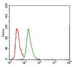 ABCG5 Antibody - Flow Cytometry: ABCG5 Antibody (1B5E10) - Flow cytometry analysis of A549 cells using ABCG5 mouse mAb (green) and negative control (red).  This image was taken for the unconjugated form of this product. Other forms have not been tested.