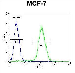 ABHD11 Antibody - ABHDB Antibody flow cytometry of MCF-7 cells (right histogram) compared to a negative control cell (left histogram). FITC-conjugated goat-anti-rabbit secondary antibodies were used for the analysis.