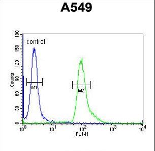 ABHD12 Antibody - ABHD12 Antibody flow cytometry of A549 cells (right histogram) compared to a negative control cell (left histogram). FITC-conjugated goat-anti-rabbit secondary antibodies were used for the analysis.