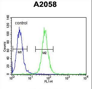 ABHD14B Antibody - ABHEB Antibody flow cytometry of A2058 cells (right histogram) compared to a negative control cell (left histogram). FITC-conjugated goat-anti-rabbit secondary antibodies were used for the analysis.