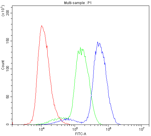 ABI1 / SSH3BP1 Antibody - Flow Cytometry analysis of U937 cells using anti-SSH3BP1 antibody. Overlay histogram showing U937 cells stained with anti-SSH3BP1 antibody (Blue line). The cells were blocked with 10% normal goat serum. And then incubated with rabbit anti-SSH3BP1 Antibody (1µg/10E6 cells) for 30 min at 20°C. DyLight®488 conjugated goat anti-rabbit IgG (5-10µg/10E6 cells) was used as secondary antibody for 30 minutes at 20°C. Isotype control antibody (Green line) was rabbit IgG (1µg/10E6 cells) used under the same conditions. Unlabelled sample (Red line) was also used as a control.