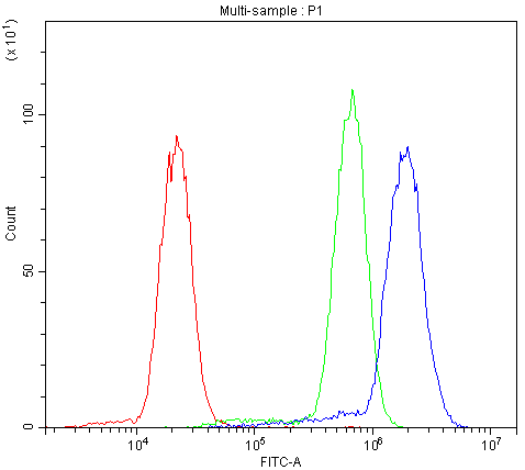 ABI1 / SSH3BP1 Antibody - Flow Cytometry analysis of U-87 cells using anti-SSH3BP1 antibody. Overlay histogram showing U-87 cells stained with anti-SSH3BP1 antibody (Blue line). The cells were blocked with 10% normal goat serum. And then incubated with rabbit anti-SSH3BP1 Antibody (1µg/10E6 cells) for 30 min at 20°C. DyLight®488 conjugated goat anti-rabbit IgG (5-10µg/10E6 cells) was used as secondary antibody for 30 minutes at 20°C. Isotype control antibody (Green line) was rabbit IgG (1µg/10E6 cells) used under the same conditions. Unlabelled sample (Red line) was also used as a control.